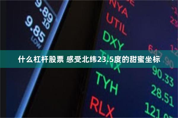 什么杠杆股票 感受北纬23.5度的甜蜜坐标
