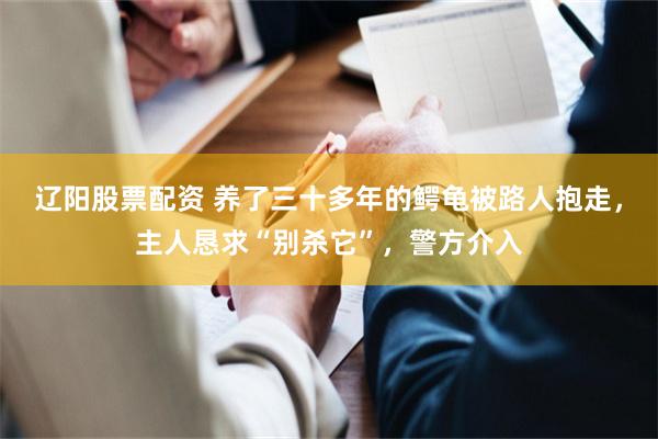 辽阳股票配资 养了三十多年的鳄龟被路人抱走，主人恳求“别杀它”，警方介入